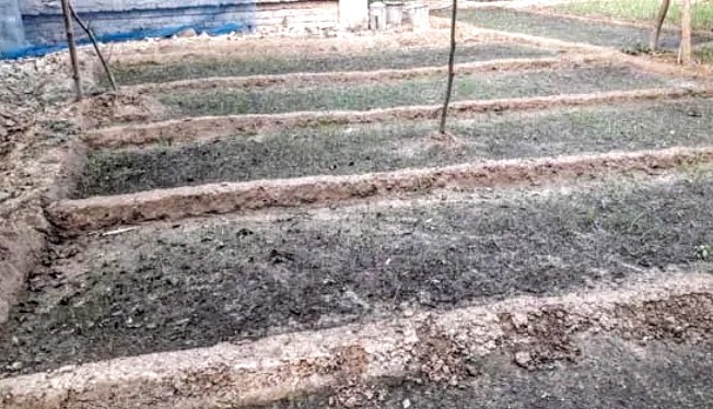 রাজশাহী কৃষি বিভাগের বিরুদ্ধে প্রতাণার অভিযোগ : তোলপাড়