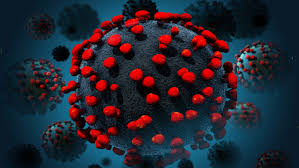 দেশে করোনায় ২৪ ঘন্টায় ৩১ জনের মৃত্যু, শনাক্ত ১৬৬৬