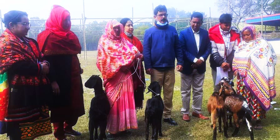 চাঁপাইনবাবগঞ্জের নাচোলে ভিক্ষুকদের মাঝে ছাগল বিতরণ