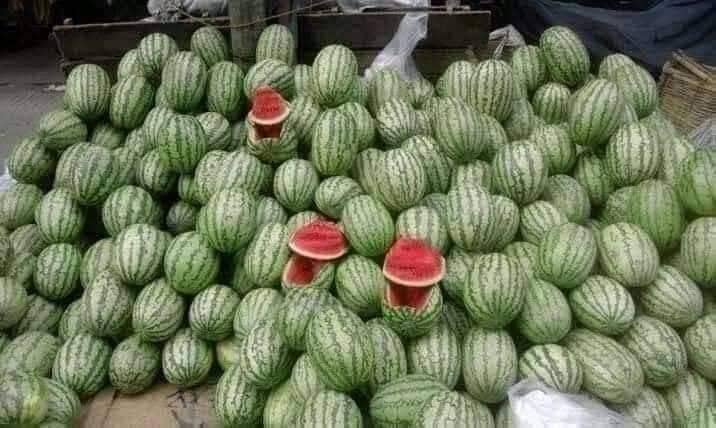 চাঁপাইনবাবগঞ্জে তরমুজ নিয়ে চলছে চালবাজি-তেলেসমাতি।। পিস হিসেবে কিনে কেজিতে উচ্চ মূল্য বিক্রি
