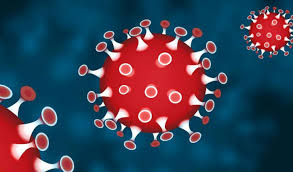 জ্বর, সর্দি-কাশির ভাইরাস করোনা ভাইরাসকে আটকে দেয়: গবেষণা