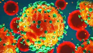 করোনাভাইরাসে আক্রান্ত হয়ে একদিনে রেকর্ড ১১২ জনের মৃত্যু