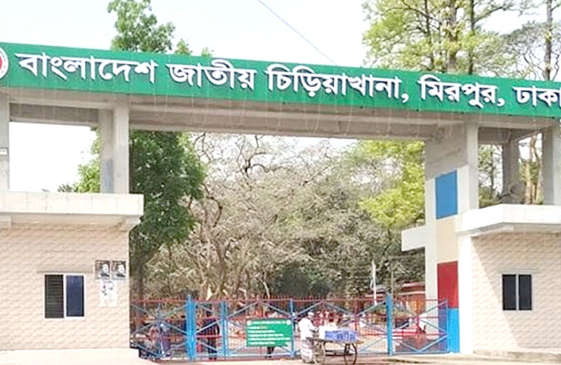 মিরপুর ও রংপুর চিড়িয়াখানা বন্ধ ঘোষণা
