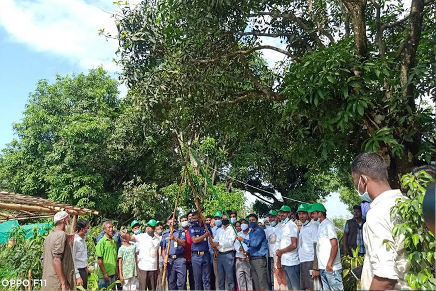ন‌ওগাঁর সাপাহারে আনুষ্ঠানিকভাবে আমপাড়া উৎসব শুরু হয়েছে