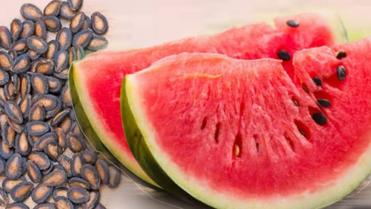 মরণব্যাধি থেকে বাঁচতে জেনে নিন তরমুজ বীজের উপকারিতা,ডায়াবেটিস নিয়ন্ত্রণে অত্যন্ত কার্যকরী