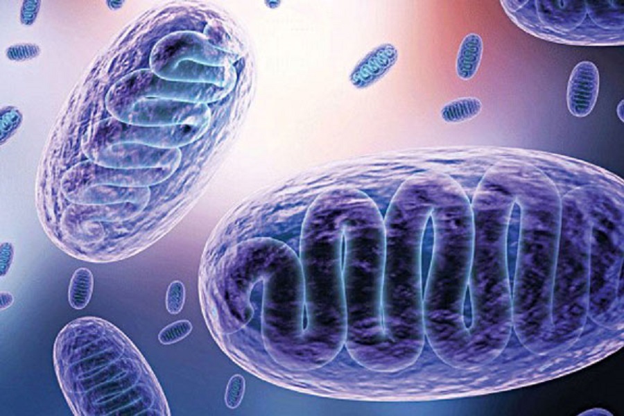 বিরল ছত্রাকজনিত রোগ ব্ল্যাক ফাঙ্গাসের লক্ষণগুলো কী কী