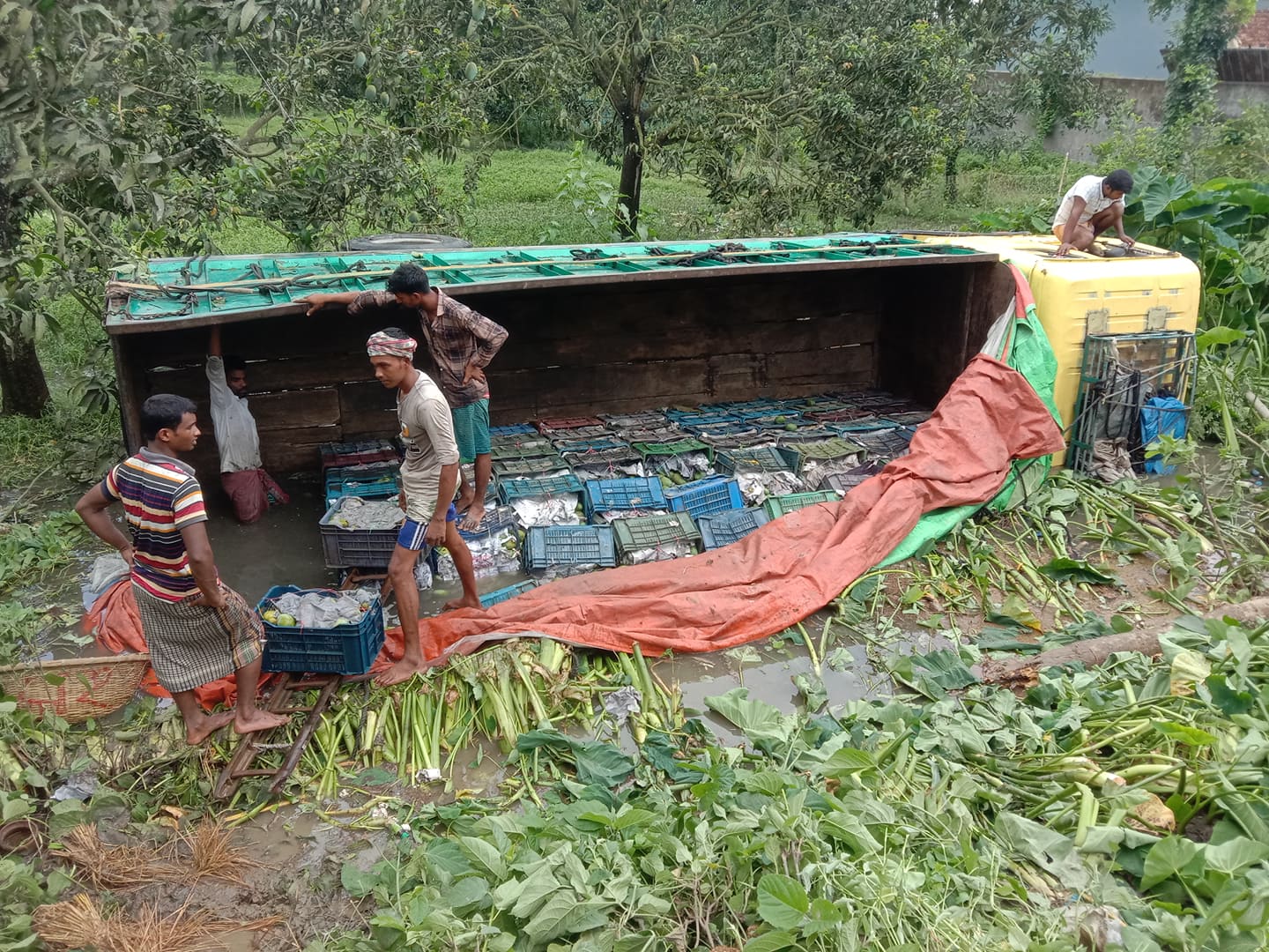 চাঁপাইনবাবগঞ্জের গোমস্তাপুরে চালকের অবহেলায় আম ভর্তি ট্রাক খাদে পড়ে ব্যপক ক্ষতি