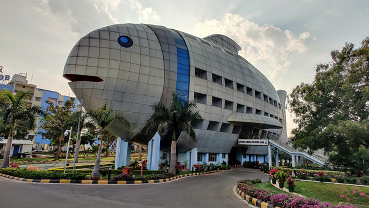 জেনে নিন ইন্টারনেটে ভাইরাল হওয়া এই মাছের বিল্ডিংটি কোথায়