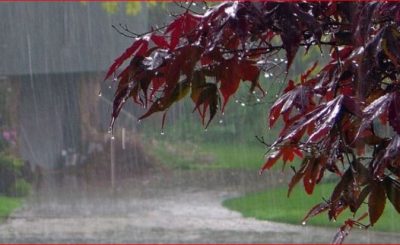 ভারি বৃষ্টি আরও তিন দিন, সমুদ্রে ৩ নম্বর সংকেত বহাল