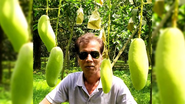 আম নিয়েই যার কর্মযজ্ঞ – আমের রাজধানী চাঁপাইনবাবগঞ্জের “আম মানব” গণমাধ্যম কর্মী আহসান হাবিব