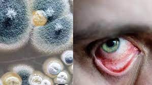 রাজধানীতে করোনা শনাক্তের ৬৮ শতাংশই ভারতীয় ভ্যারিয়েন্ট