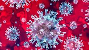 এই মহামারিতে করোনা শনাক্তে ঢাকাকে ছাড়ালো রাজশাহী-খুলনা