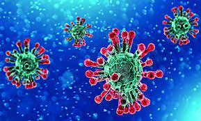 চাঁপাইনবাবগঞ্জে ১৮১ জনের নমুনা পরীক্ষায় ১১২ জন শনাক্ত