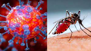 সাম্প্রতিক সময়ে জ্বর হলে কেবল করোনা টেস্ট নয়, করাতে হবে ডেঙ্গু পরীক্ষাও: স্বাস্থ্য অধিদপ্তর