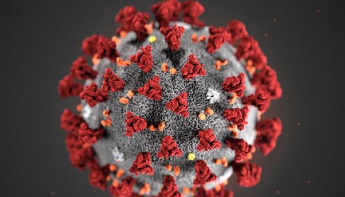 রাজধানীতে ৫ স্থানে করোনা ফিল্ড হাসপাতাল হবে : স্বাস্থ্যসচিব