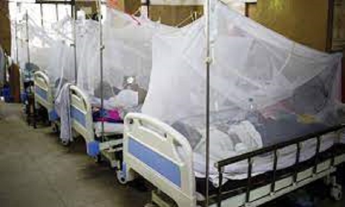 গত ২৪ ঘণ্টায় হাসপাতালে ভর্তি আরো ২৬৬ ডেঙ্গু রোগী