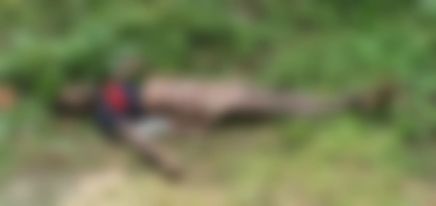 চাঁপাইনবাবগঞ্জে ১ ব্যক্তির লাশ উদ্ধার করেছে পুলিশ