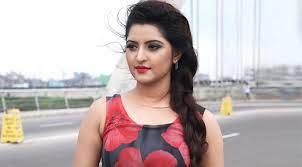 দুই মাদক মামলায় চারজন চার দিন করে রিমান্ডে,মাদকাসক্ত হয়েই পরীমনির সর্বনাশ?