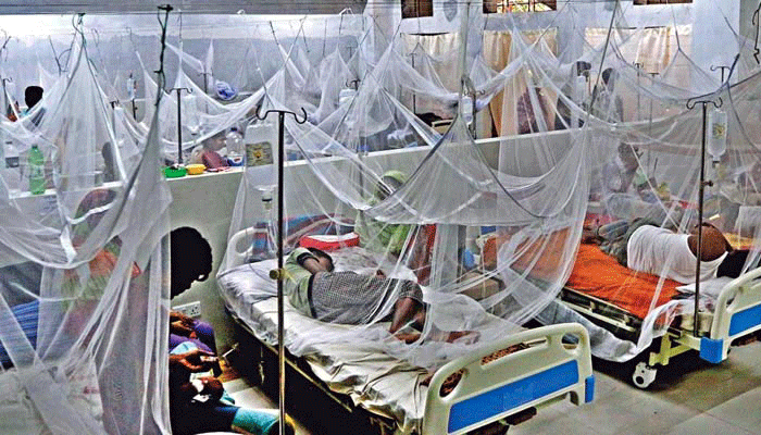 গত ২৪ ঘণ্টায় ডেঙ্গুতে আক্রান্ত হয়ে ১৬৩ জন হাসপাতালে