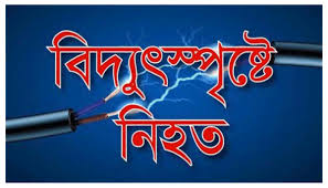নারায়ণগঞ্জে বিদ্যুৎস্পৃষ্ট হয়ে স্বামী-স্ত্রীর মৃত্যু