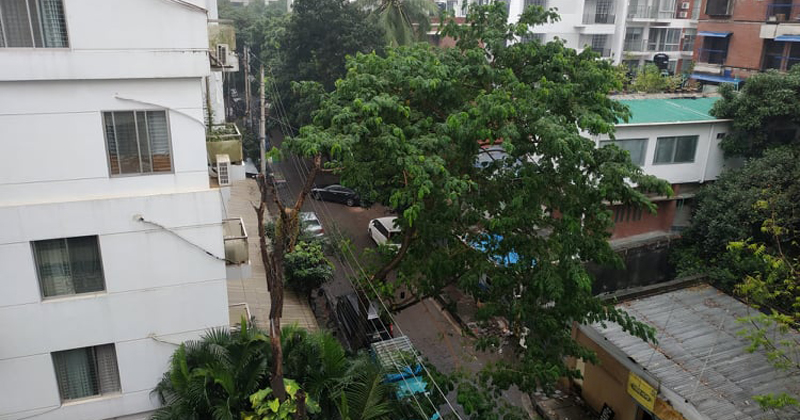 বৃষ্টি জানিয়ে দিচ্ছে শীতের আগমনী বার্তা ঠান্ডা ঠান্ডা  ভাব