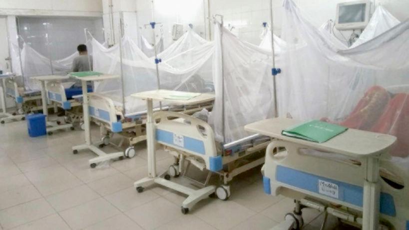 গত ২৪ ঘণ্টায় দেশে আরও ১৬৩ ডেঙ্গু রোগী হাসপাতালে