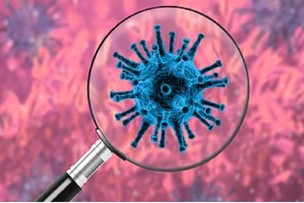 করোনাভাইরাসের সংক্রমণ ঢাকাসহ ১২ জেলা উচ্চ ঝুঁকিতে