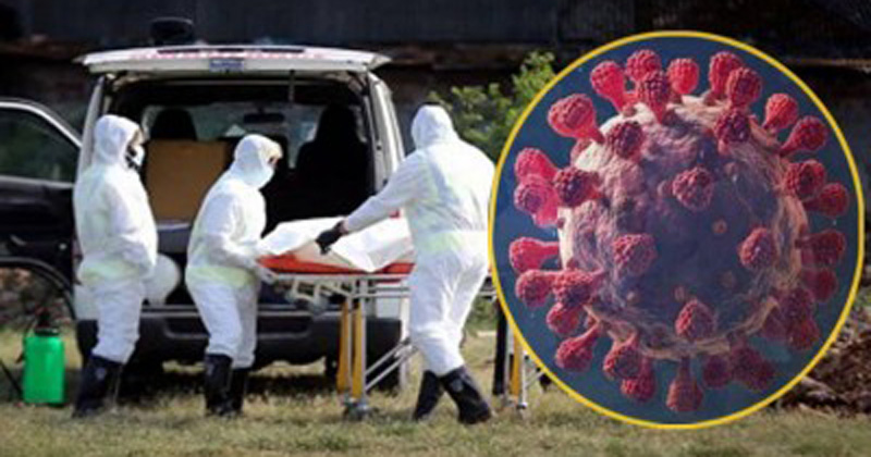 দেশে গত ২৪ ঘণ্টায় করোনায় আরও ২৮ জনের মৃত্যু, শনাক্ত ৪৮৩৮