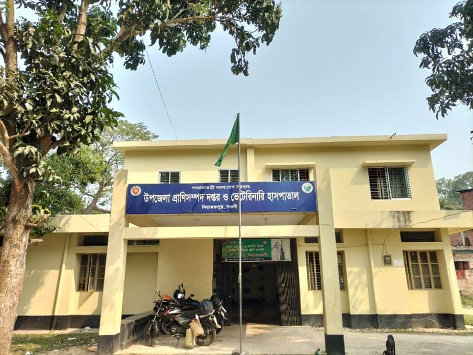নিয়ামতপুরে নামেই পরিচালিত হচ্ছে পশু হাসপাতাল, চিকিৎসা সেবা ব্যাহত।