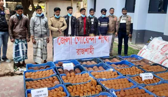 “রাজশাহী জেলা গোয়েন্দা শাখা ( ডিবি) কর্তৃক ৫০ মণ ভেজাল খেজুরের গুড় জব্দ, ০৭ জন গ্রেফতার “