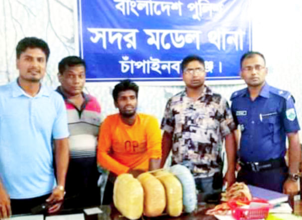 চাঁপাইনবাবগঞ্জে ৮ কেজি গাঁজাসহ গ্রেপ্তার ১