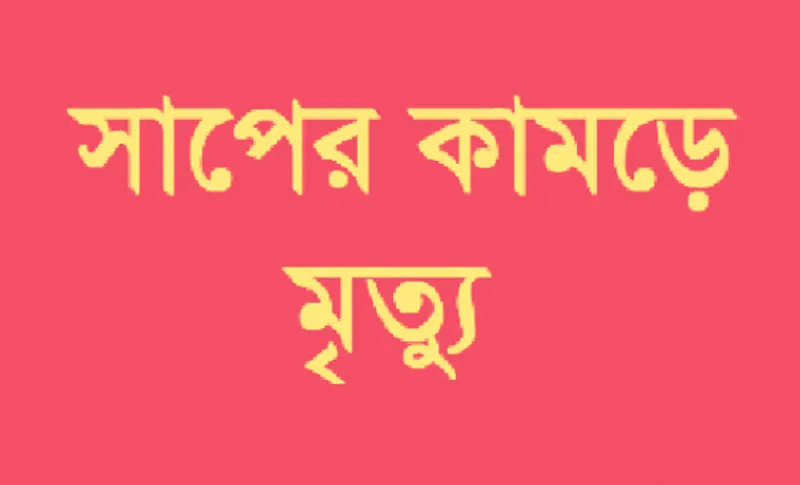 রাজশাহীতে সাপের কামড়ে যুবকের মৃত্যু