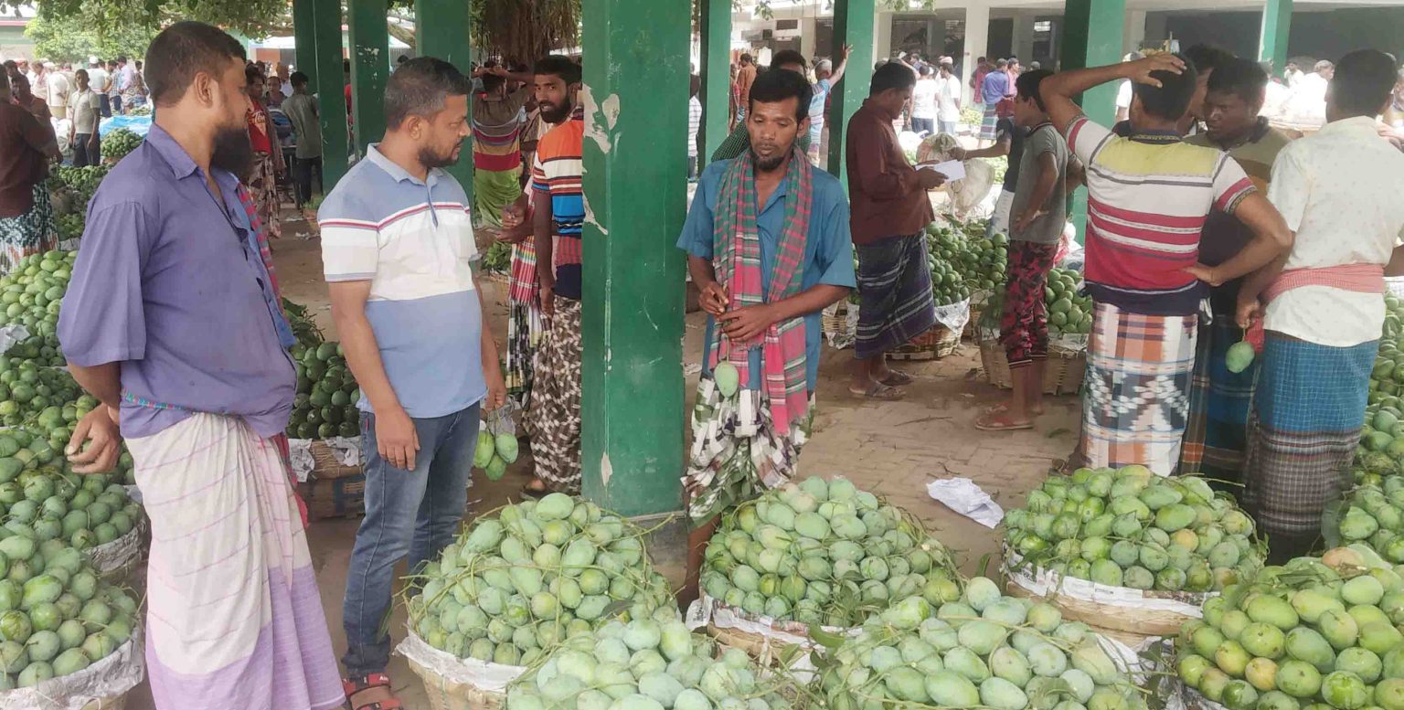 বাইরের ক্রেতা না থাকায় ভোলাহাটে আমের বাজারে ধস