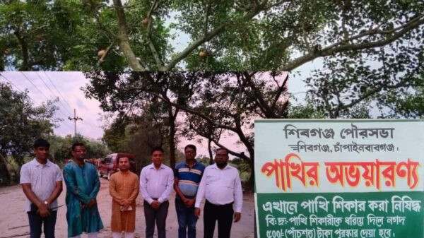 পাখির অভয়ারণ্য হচ্ছে ঐতিহাসিক শিবগঞ্জে