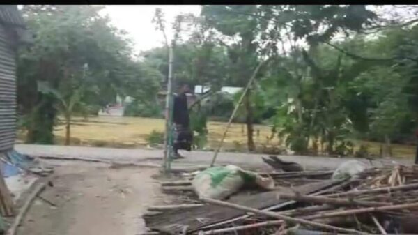 প্রধানমন্ত্রীর উপহারের ঘরের খুটি টিন খুলে নিয়ে গেল যুবলীগ!