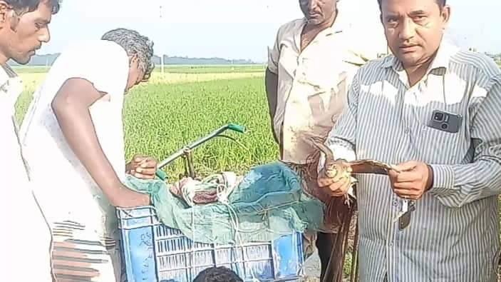 চাঁপাইনবাবগঞ্জে পাখি শিকারিকে আটক করলো এলাকাবাসী