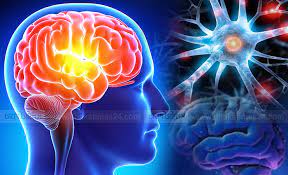 বয়স বাড়ার সঙ্গে সঙ্গে স্মৃতিশক্তি কমতে শুরু করেছে, কী করবেন?