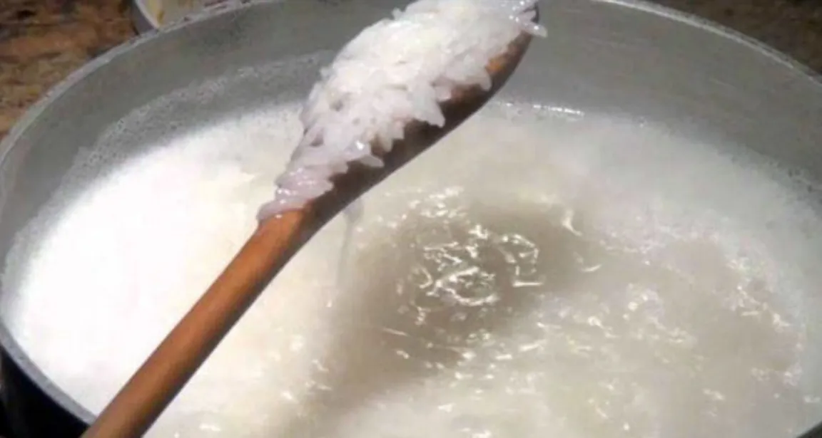 ভাতের মাড় অথবা চাল ধোওয়া পানি ফেলবেন না, এই কাজে আসবে