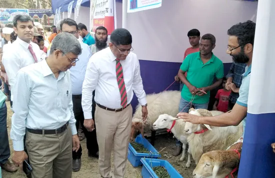 সব ধরনের মাংস, দুধ ও ডিম উৎপাদনে উদ্বৃত্ত জেলা চাঁপাইনবাবগঞ্জ