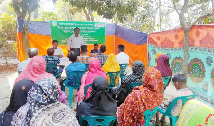 নাচোলে উত্তম ব্যবস্থাপনায় মাছ চাষ বিষয়ে প্রশিক্ষণ