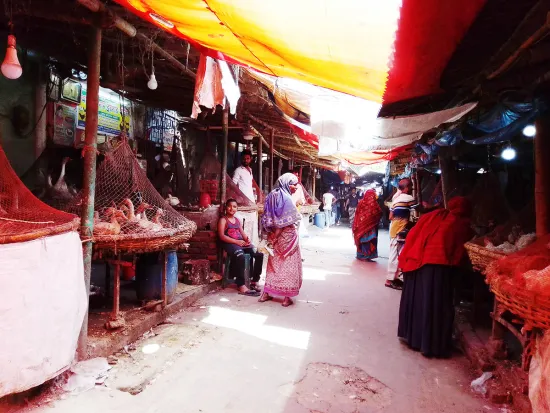 কমেছে মুরগির দাম উত্তাপ মাছ বাজারে