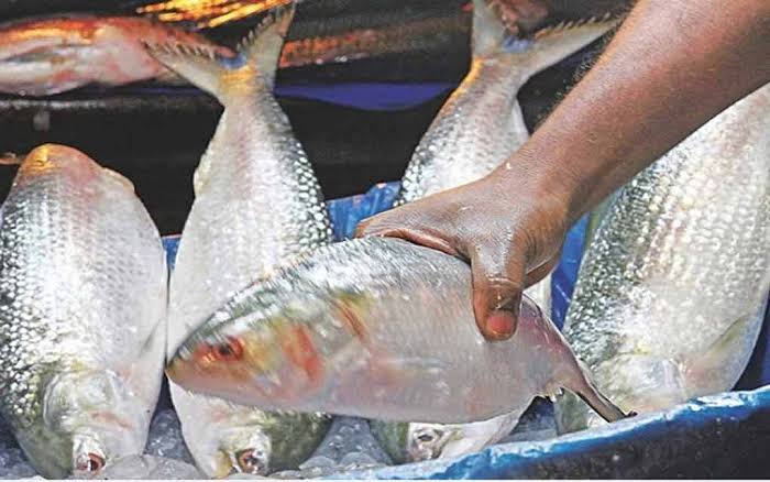 ইলিশ উৎপাদন ৬ লাখ টনে পৌঁছার লক্ষ্যে ২ মাস মাছ ধরা নিষেধ
