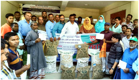 নাচোল গোমস্তাপুর ও ভোলাহাটে প্রণোদনার বীজ ও সার বিতরণ