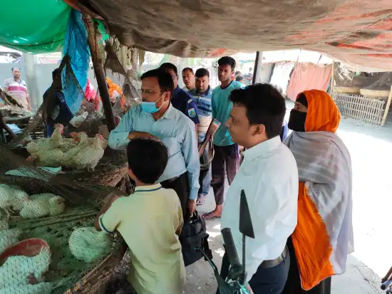 মোবাইল কোর্টের পৃথক অভিযান: মুরগি ব্যবসায়ীকে জরিমানা, কারেন্ট জাল ধ্বংস