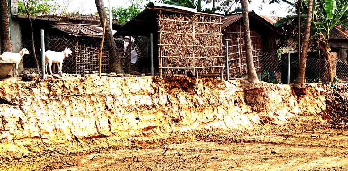 চাঁপাইনবাগঞ্জে বসতবাড়ির সীমানা নিয়ে বিরোধ: গর্ত করে মাটি কাটায় বাড়িঘর ও গাছপালা হুমকির মুখে