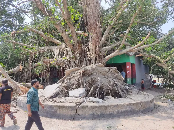 রবিবারের ঝড়ে জেলায় লণ্ডভণ্ড বাড়িঘর, আমের ব্যাপক ক্ষতি
