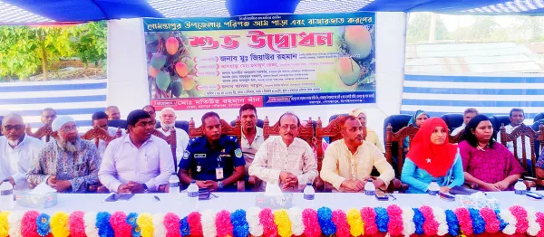 রহনপুরে আনুষ্ঠানিকভাবে আম ক্রয়-বিক্রয় শুরু