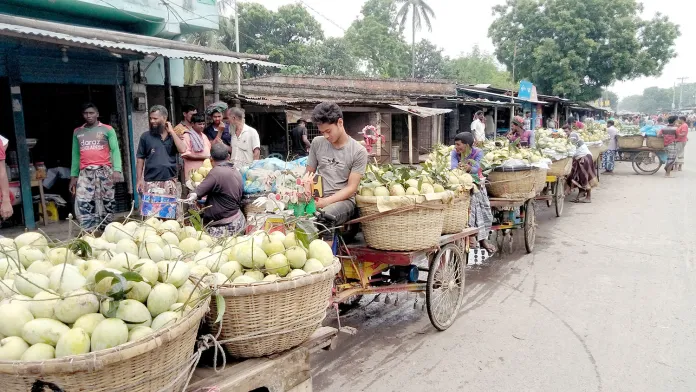 চাঁপাইনবাবগঞ্জে মৌসুম শেষেও আশ্বিনা আমে জমজমাট কানসাট আমবাজার