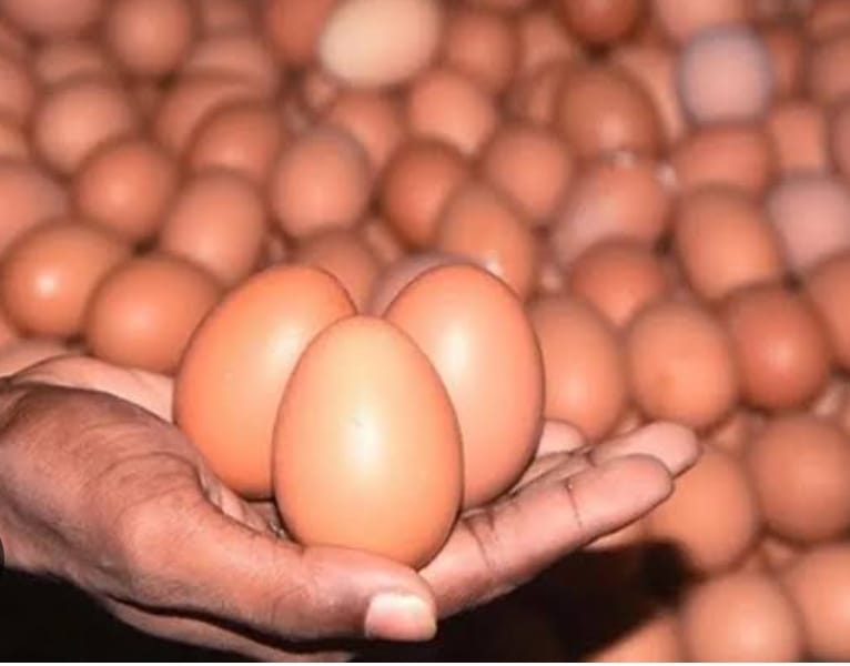 বাজারে ডিম আমদানির অনুমতির প্রভাব পড়েনি