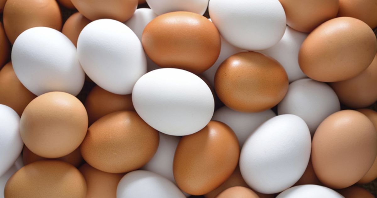 ভারত থেকে চার প্রতিষ্ঠানকে ৪ কোটি ডিম আমদানির অনুমোদন